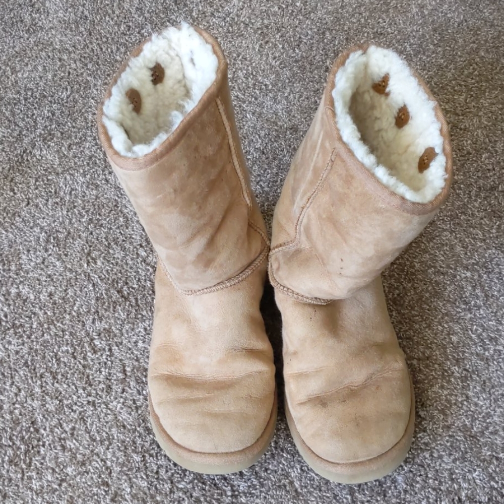 UGGs size 7